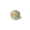 Anello la bella stagione AnSt05bicolore-Bianco