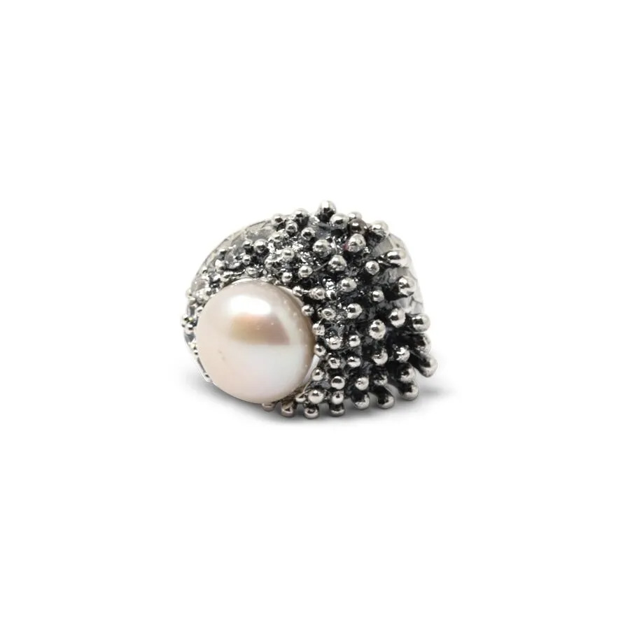 Anello Abissi AnABS04