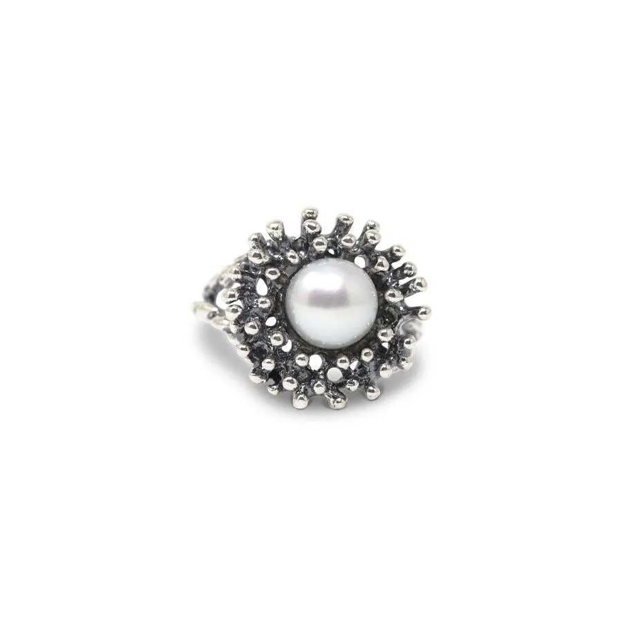 Anello Abissi AnABS05