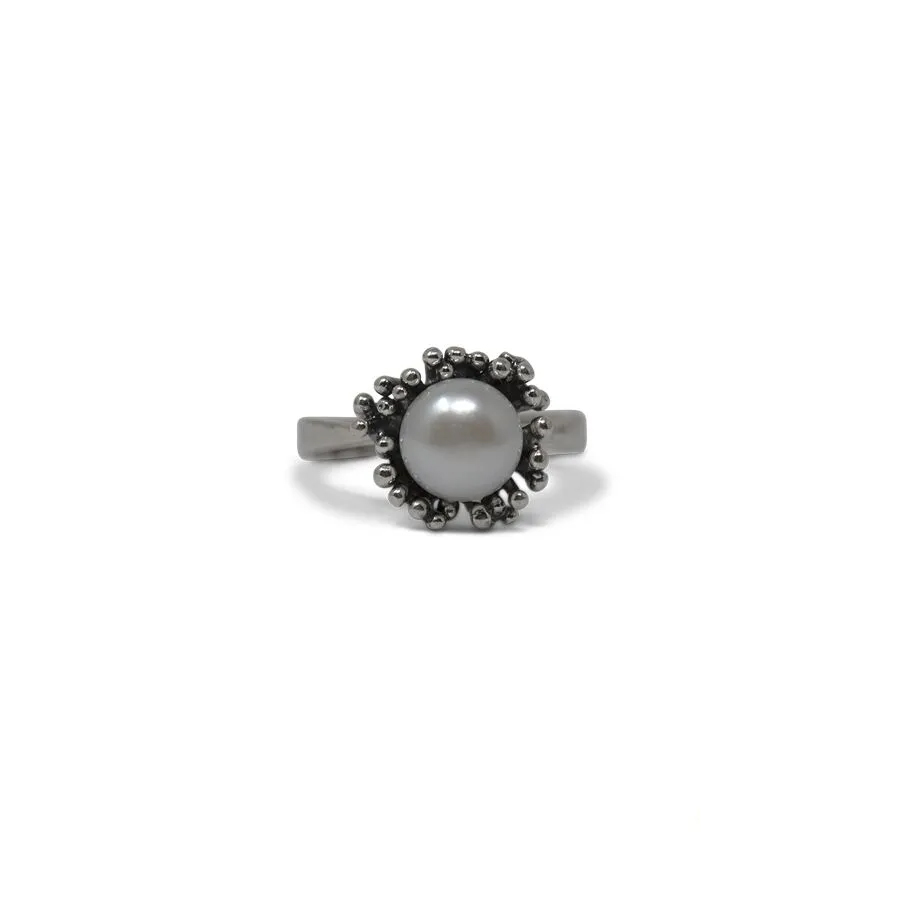 Anello Abissi AnABS06