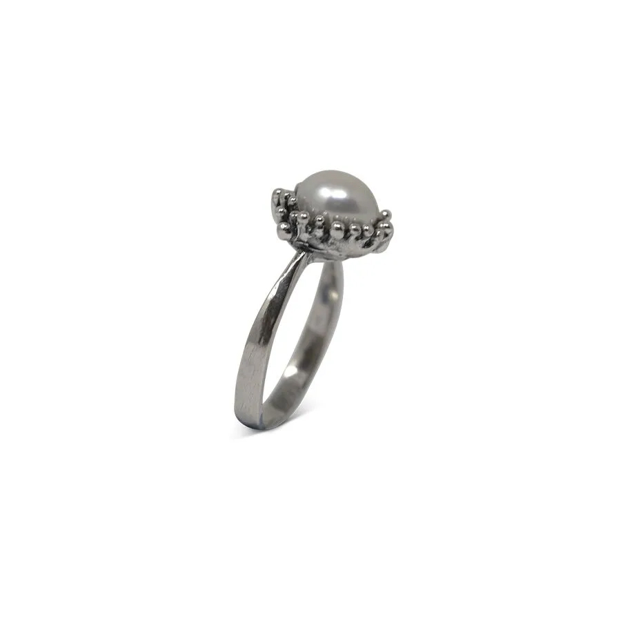 Alternative view of Anello Abissi AnABS06
