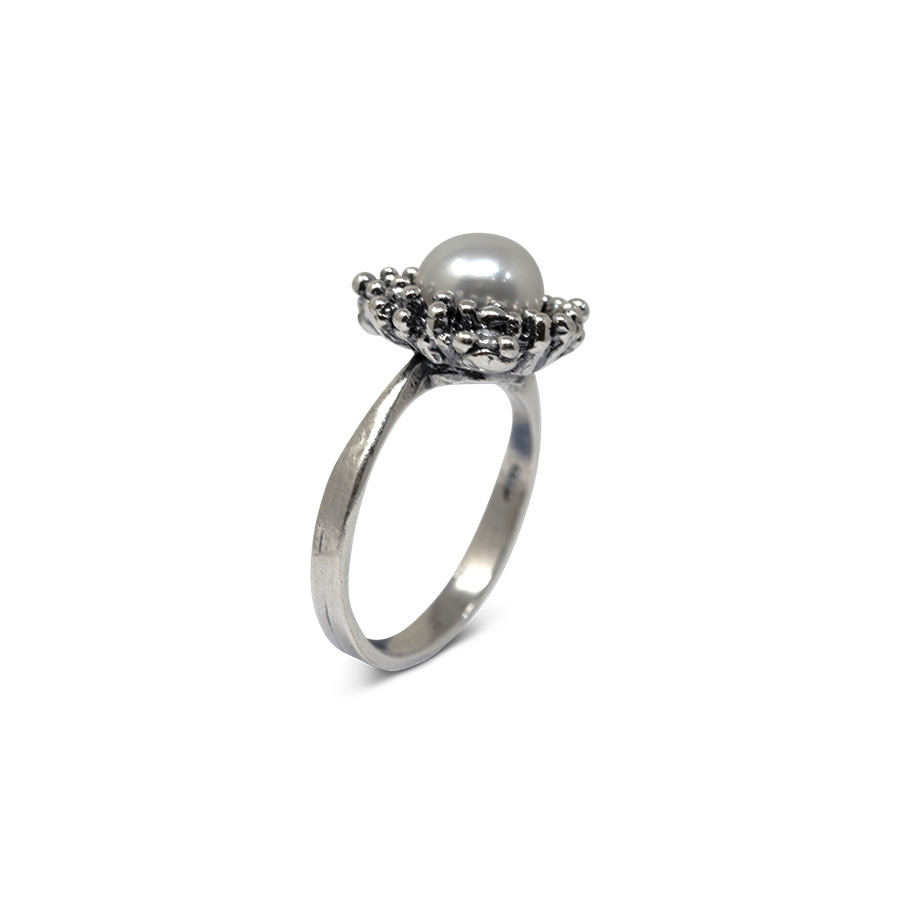 Alternative view of Anello Abissi AnABS08
