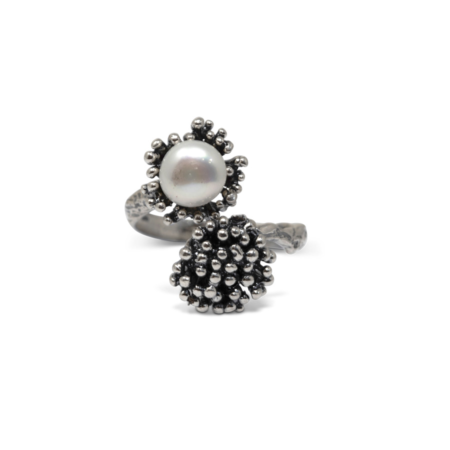 Anello Abissi AnABS11