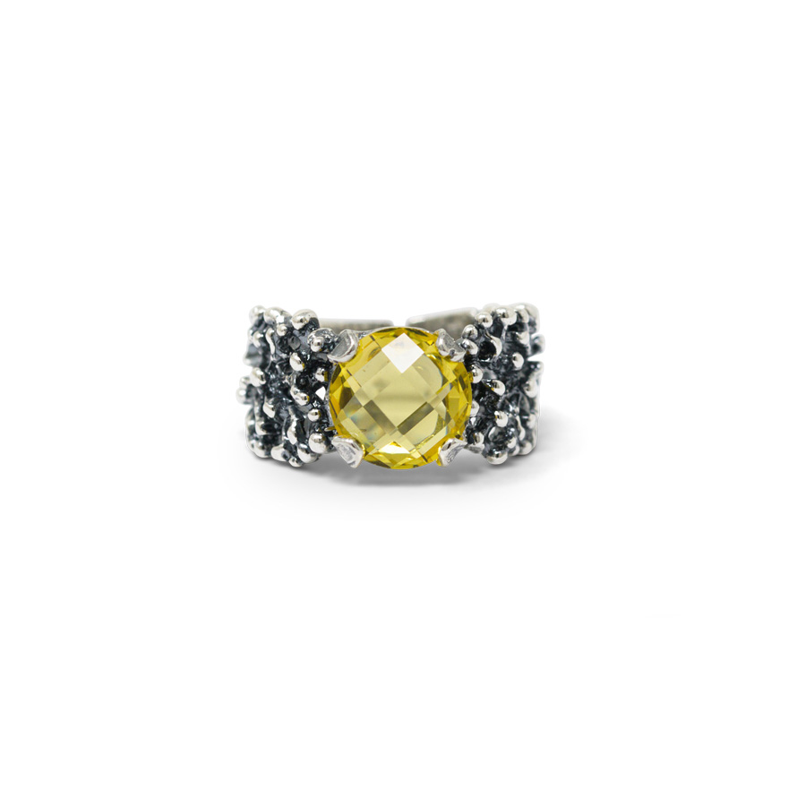 Anello Abissi AnABS16