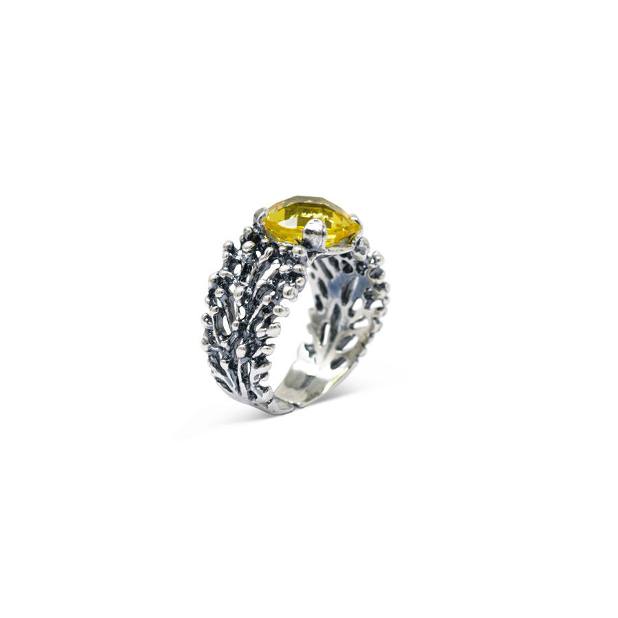 Alternative view of Anello Abissi AnABS16
