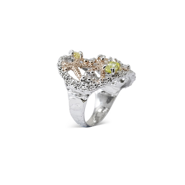 Alternative view of Anello Mare AnMr46-Bicolore