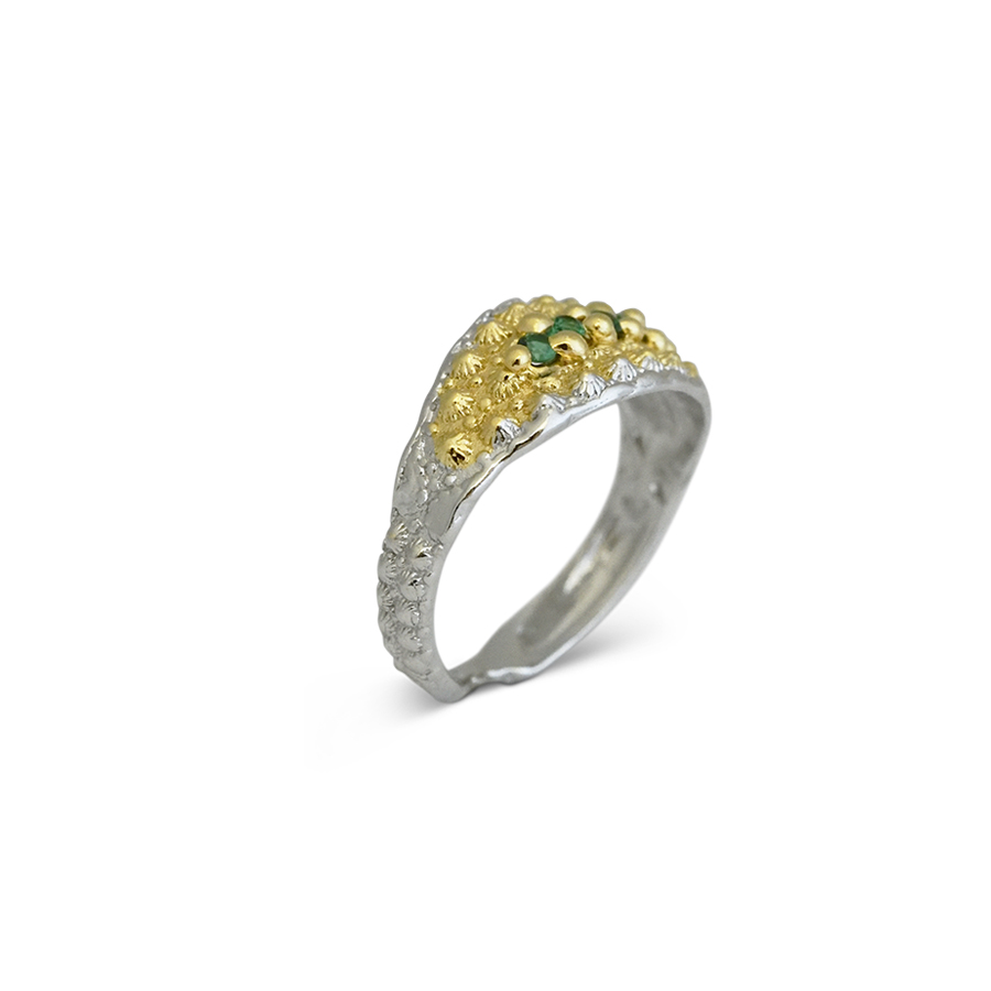 Alternative view of Anello Sardinia AnFg02Bicolore