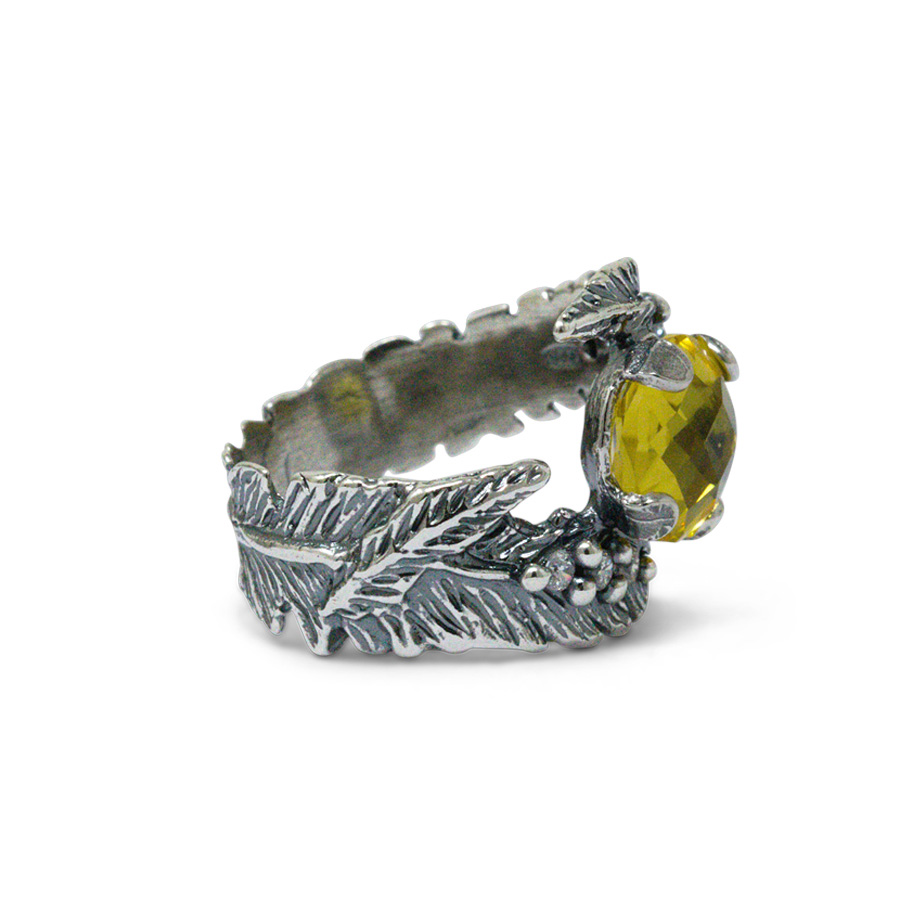 Alternative view of Anello Laurea AnLr06