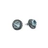Orecchino in argento Exclusive OrExl02 Acqua Marina